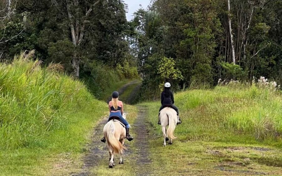 Hawaii: Small Group Rainforest Trail Ride - Riding level and safety rules that actually affect your day