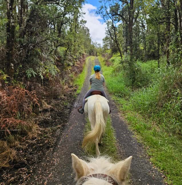 Hawaii: Small Group Rainforest Trail Ride - Price and value: what $105 buys you for 1 hour
