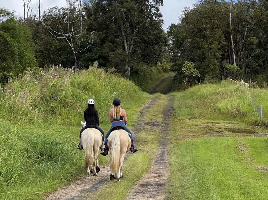 Hawaii: Small Group Rainforest Trail Ride - Who should book, and who should skip it