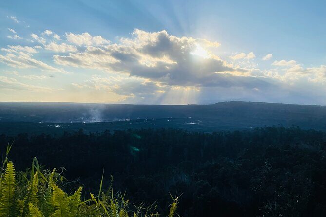 Hawaii Volcanoes & Forests - Private Guided Walks & Hikes - You Start at Volcano Art Center Gallery (And Why That’s Good)