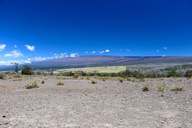 Hawaii Volcanoes National Park and Hilo Highlights Small Group Tour - Liliuokalani Gardens and Rainbow Falls: Start Soft, Then Hit the Black Rock