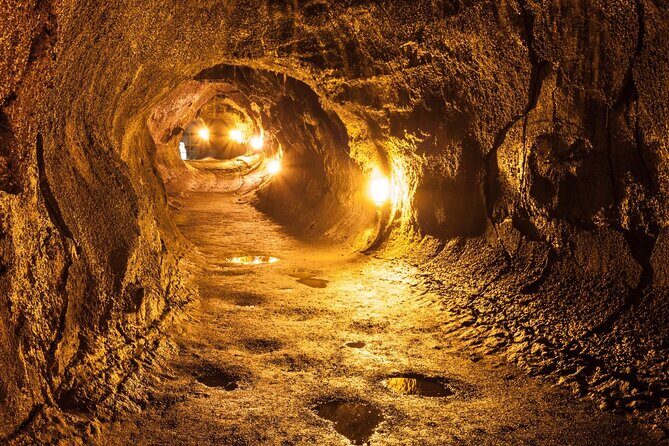 Hawaii Volcanoes National Park Self-Guided Driving Audio Tour - Nahuku – Thurston Lava Tube: Walk Inside Molten-Made Geometry