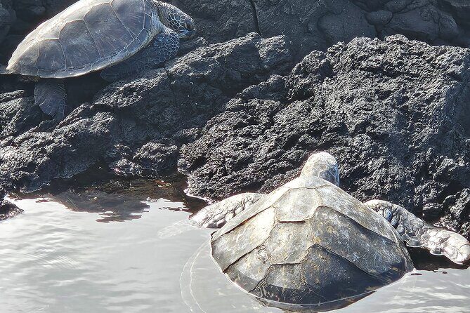 Hawaii Volcanoes, Waterfalls, Beaches & Hilo Highlights Day Tour - Hilo Farmers Market: the lunch and local flavor hour