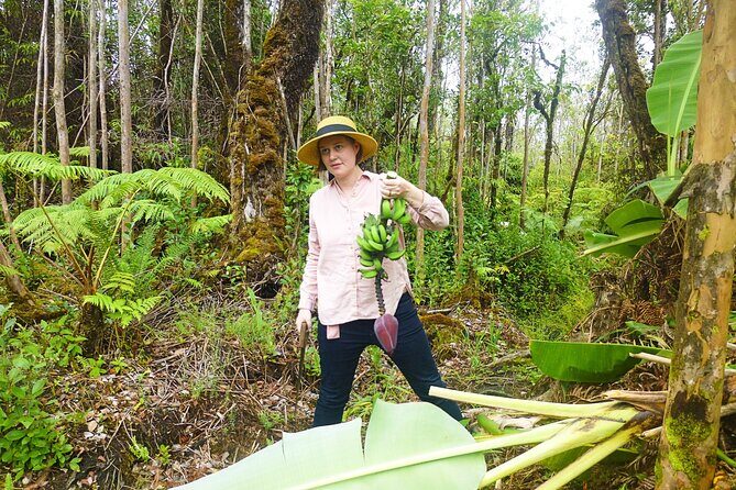 Hawaiian Rainforest Banana Cultivation Experience - Harvesting and Cutting the Inner Stem/Core Up Close