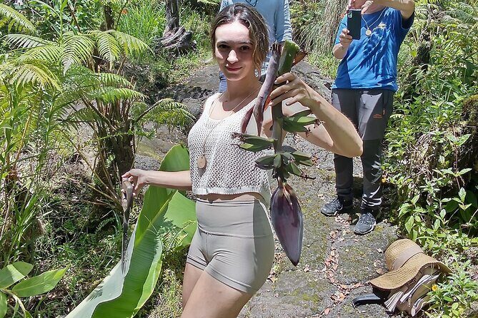 Hawaiian Rainforest Banana Cultivation Experience - Propagating Live Trees: Turning Learning into a Skill