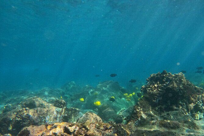 Hawaiian Sail and Snorkel in Kailua-Kona, Hawaii - A Rare Double-Hull Canoe Sail on Kona’s Calm Water