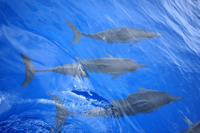 Hawaiian Sail and Snorkel in Kailua-Kona, Hawaii - Safety Briefing and Snorkel Gear Fitting Made Simple