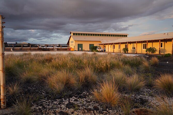 Hawaiian Salt Farm Tour in Kona - Practical tips so you stay comfortable and get the most