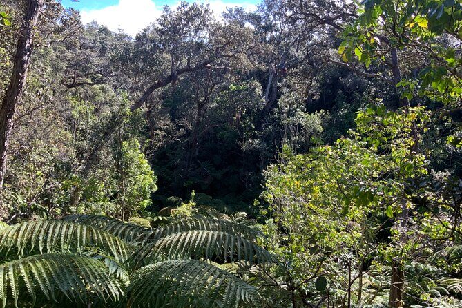 Hawai'i's Volcanoes National Park from Hilo Only - Big Island Candies: the easiest souvenir stop you’ll actually enjoy