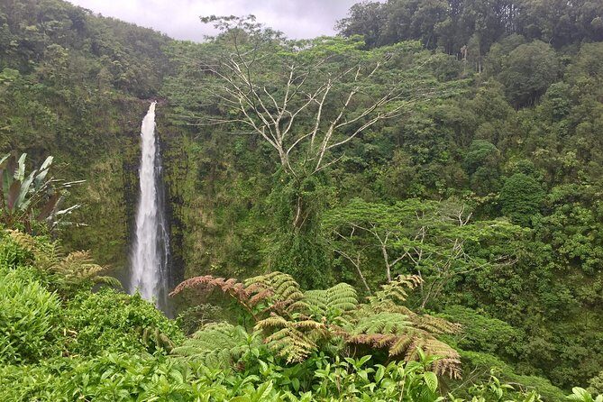 Heavenly Hamakua: From Kona - Waimea and Waipio Valley: ranch country to waterfall-country energy