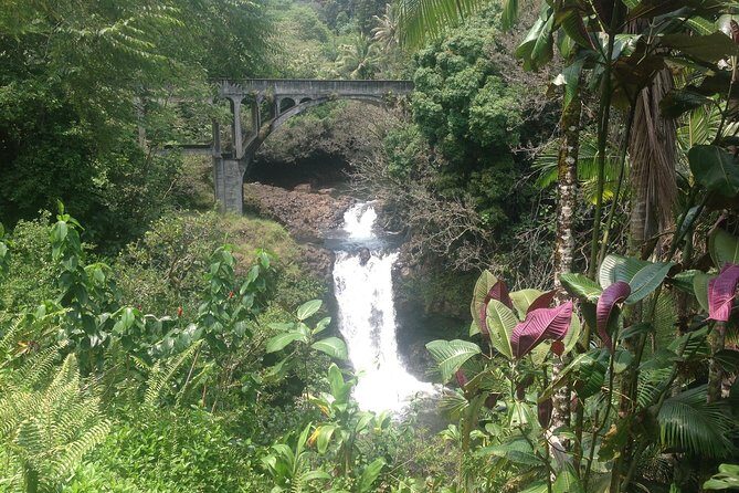 Heavenly Hamakua: From Kona - Pickup at 9:00 am: the small-group feel matters more than you think