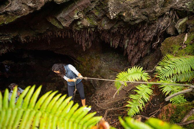 Hidden Craters Hike of Kona - Price and value: what you’re paying for at $198.95