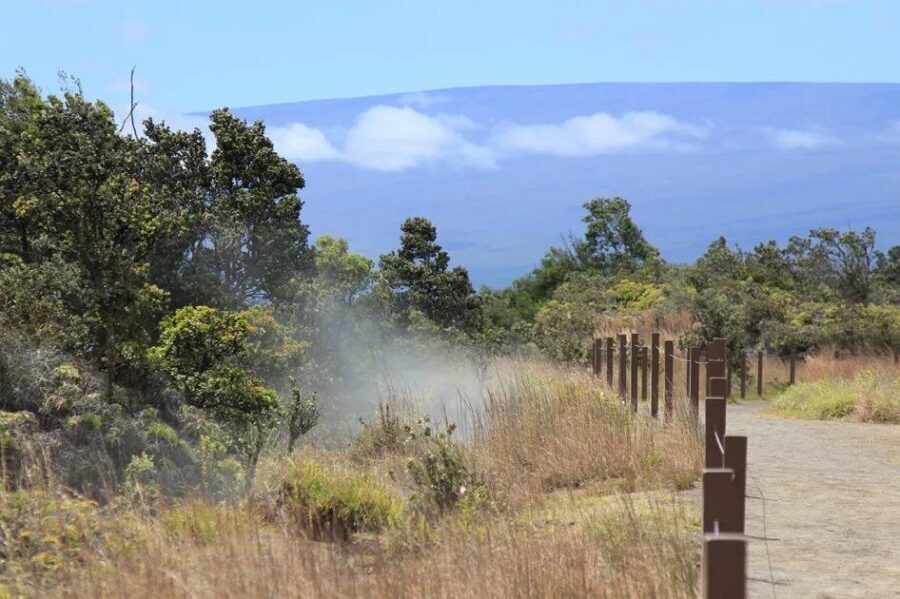 Hilo Cruise Ship Excursion: Volcanoes National Park Rainbow Falls - How guides shape the day (and why people keep bringing up names)