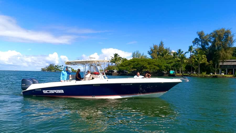 Hilo: Humpback Whale-Watching Cruise with Snacks and Drinks - Getting to Wailoa Boat Harbor (and Finding Your Slip)