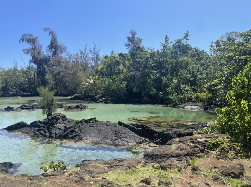 Hilo: Sea Turtle Lagoon and Black Sand Beach Snorkel - Stop 2: black sand coastline snorkeling (reef variety and wildlife chances)