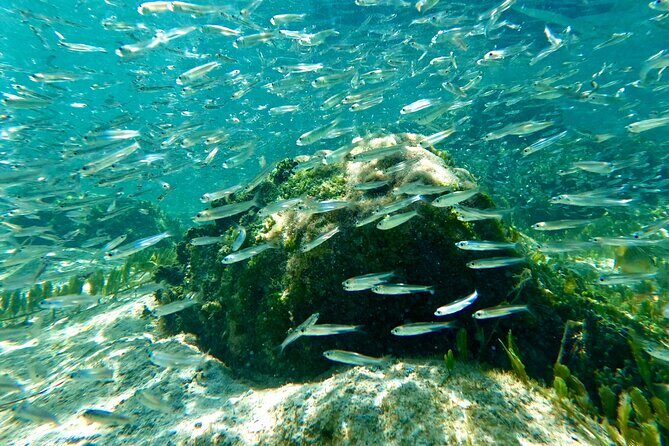 Hilo Sea Turtle Snorkel Adventure - Leleiwi Beach Park (Wai’uli): the water you’ll be scanning for turtles
