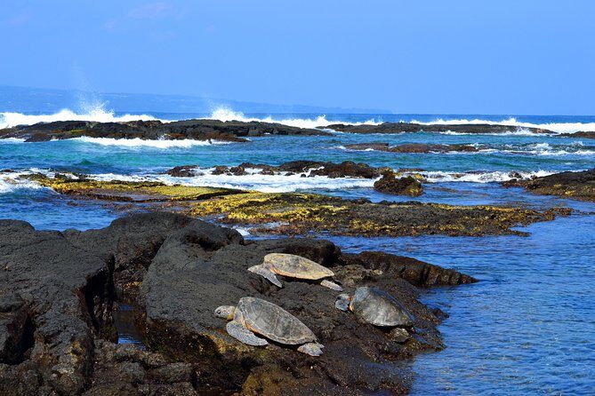 Hilo Shore Excursion: Volcanoes National Park & Black Sand Beach - How This 6-Hour Hilo Excursion Fits First-Timers’ Schedules