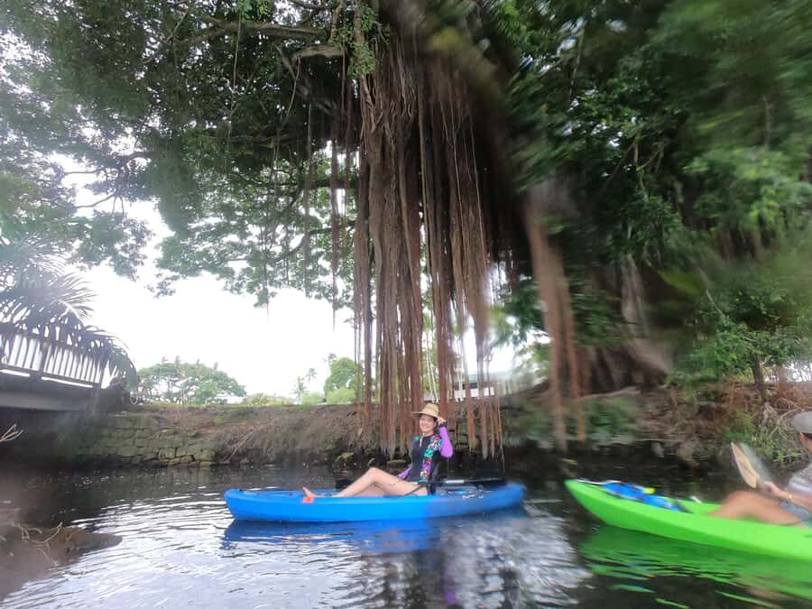 Hilo: Wailoa River to King Kamehameha Guided Kayaking Tour - Why Wailoa River Kayaking in Hilo Feels Different
