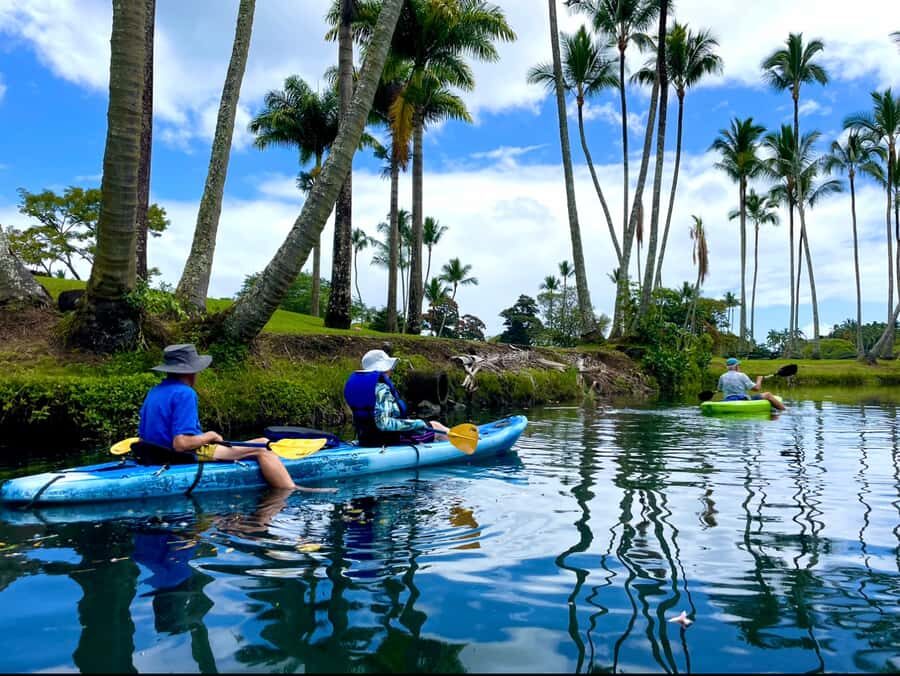 Hilo: Wailoa River to King Kamehameha Guided Kayaking Tour - Entering The Water: A Simple Start From the Boat Ramp