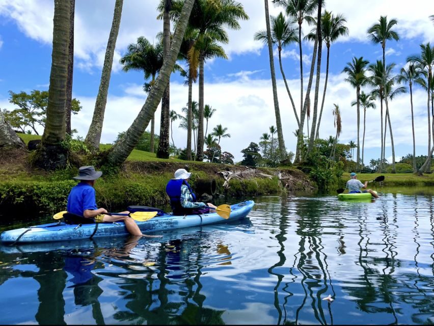 Hilo: Wailoa River to King Kamehameha Guided Kayaking Tour - How the 1-Hour Format Works (and Why It’s Good Value)