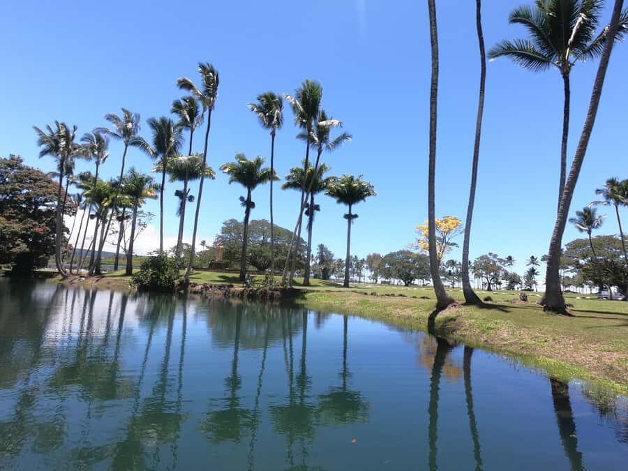 Hilo: Wailoa River to King Kamehameha Guided Kayaking Tour - Price and Logistics: What You’re Paying For
