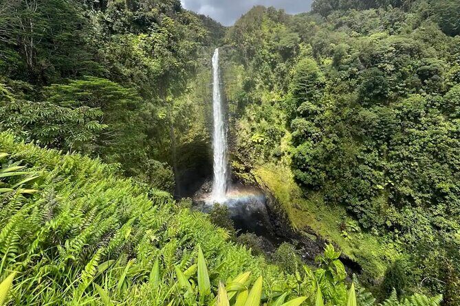 Hilo: Waterfall Hike and Swim with Native Hawaiian - Price and value: what $150 buys in a 4-hour water-and-culture day