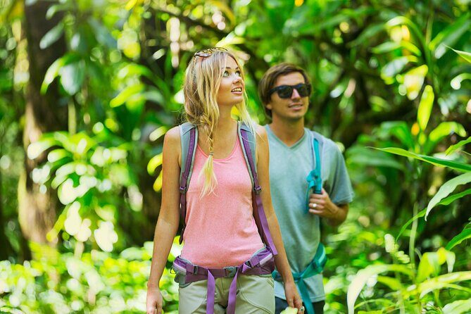 Hilo Waterfall Swim and Hike with Hilo Cruise Ship Pickup - Price and Value: Is $198.95 Worth It?