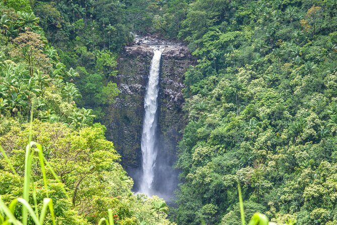 Hilo Waterfall Swim and Hike with Hilo Cruise Ship Pickup - Getting the Most From This Hilo Waterfall Swim and Hike