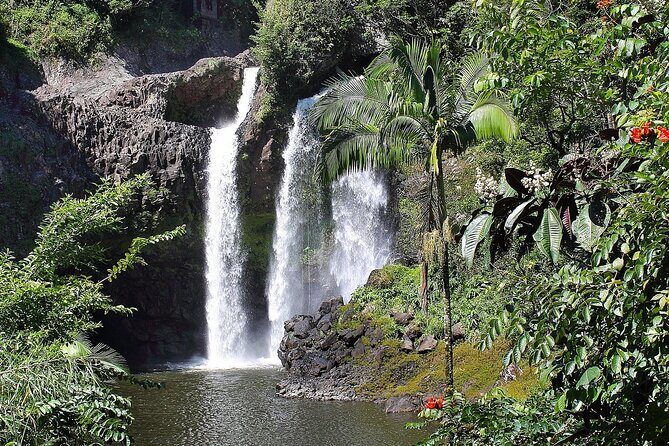 Hilo Waterfall Swim and Hike with Hilo Cruise Ship Pickup - From Honomu Check-In to a 300-Acre Working Farm Hike