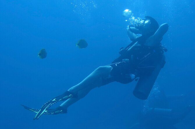 Hilo's Remote Tropical Reef 2 Tank Boat Dive - Equipment and Crew Support: How to Think About Comfort on a Small Boat