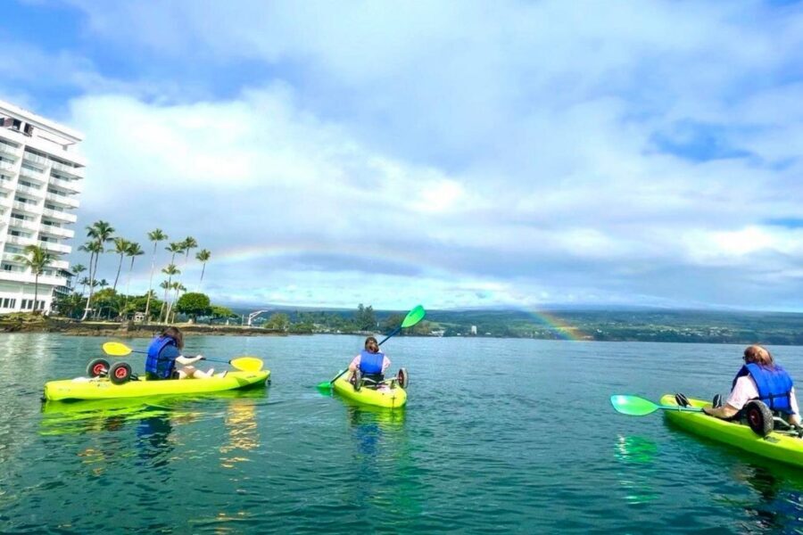 Historic Hilo Bay and Coconut Island Guided Kayak Adventure - Weather reality in Hilo Bay: rain, turtles, and staying comfortable