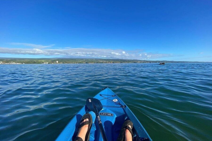 Historic Hilo Bay and Coconut Island Guided Kayak Adventure - Who this kayaking + gardens tour suits best