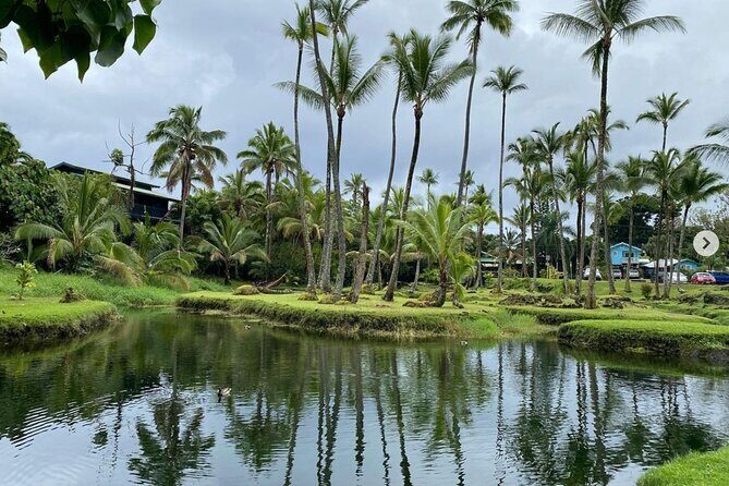 Historic Hilo Bay and Coconut Island Guided Kayak Adventure - Launch logistics at Hilo Ocean Adventures: what’s included and what you should plan