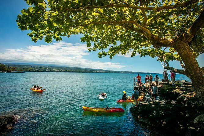 Historic Hilo Bay Waterfalls by Kayak - Meeting at 93 Banyan Dr: what your morning looks like