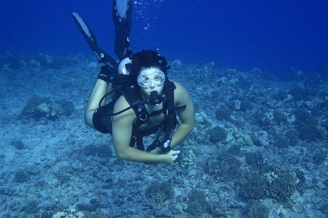 Introductory Beach Scuba Dive - The Open-Water Portion Near Hilo Bay: Where Skills Meet Hawaii