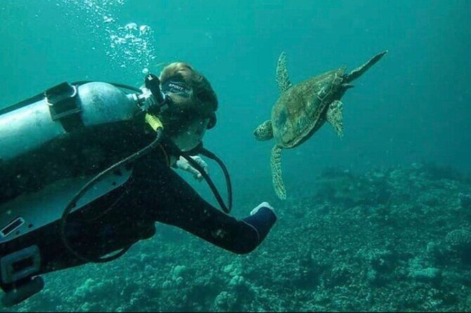 Introductory Beach Scuba Dive - Equipment, Snacks, and Small Touches That Matter