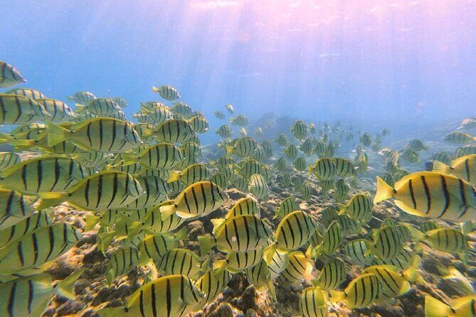 Introductory Beach Scuba Dive - Value in Real Terms: What You’re Paying For