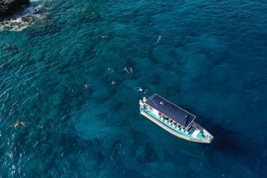 Kailua-Kona: Big Island Morning Snorkeling Tour with Lunch - Key things I’d clock before booking