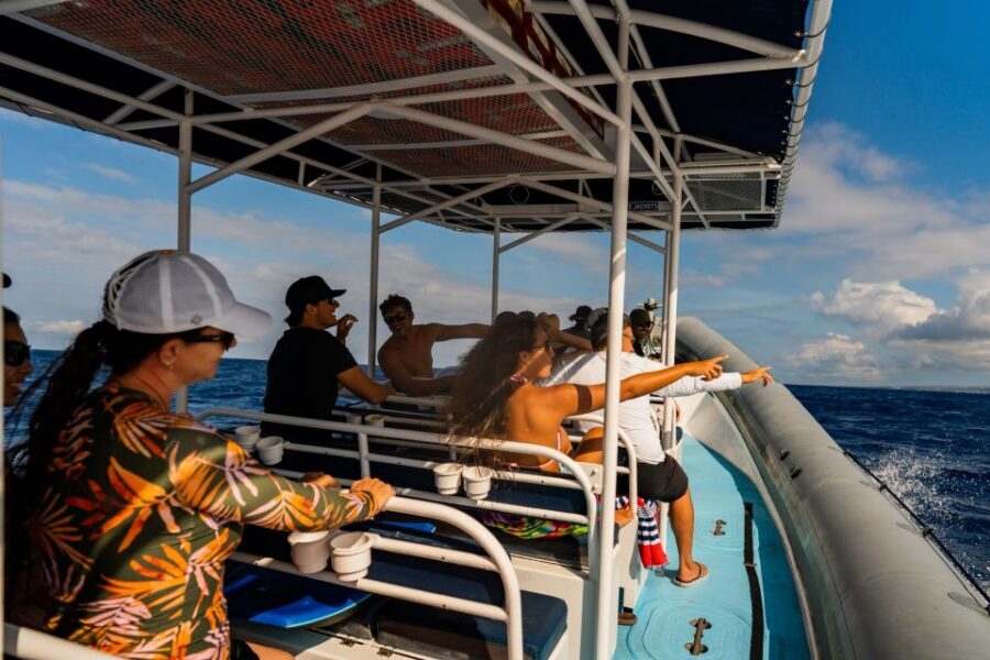 Kailua-Kona: Big Island Morning Snorkeling Tour with Lunch - Breakfast, then lunch with a Captain Cook-style history stop