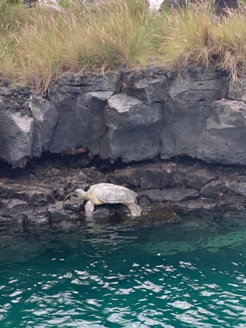 Kailua-Kona: Captain Cook Reef Catamaran Day Trip with Lunch - Key Things You’ll Notice