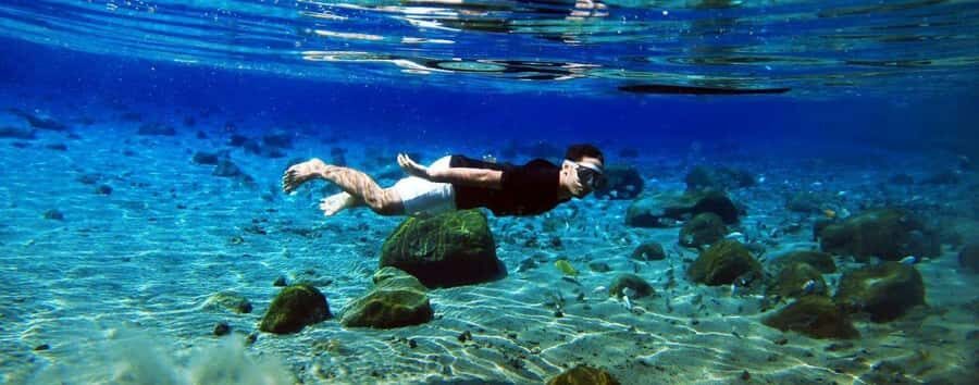 Kailua Kona: Dolphin, Sea Cave and Captain Cook Snorkel Tour - Key points to know before you go