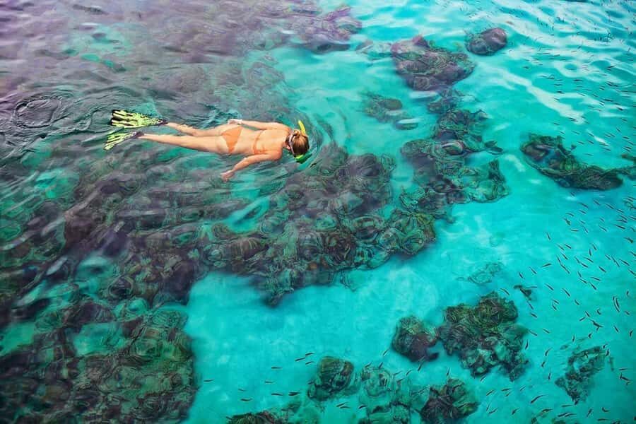 Kailua Kona: Dolphin, Sea Cave and Captain Cook Snorkel Tour - Captain Cook Monument snorkeling: what makes this stop work