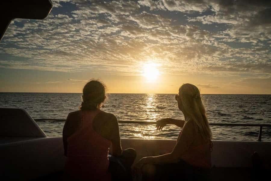 Kailua-Kona: Manta Ray Snorkeling and Sunset Sailing Cruise - Watching the Mantas Show Up: How the Trip Builds from Cruise to Water