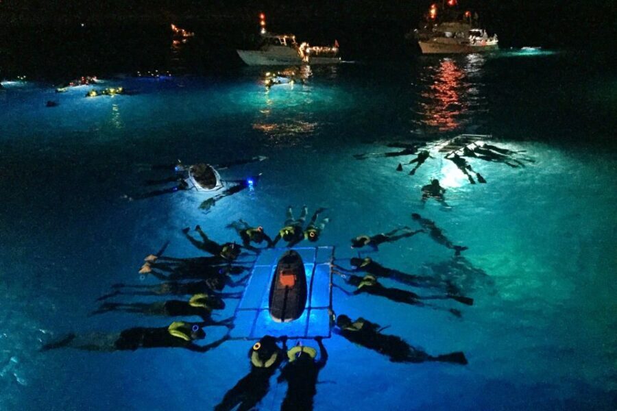 Kailua Kona: Night Manta Ray Adventure on the Big Island - Key Highlights You’ll Care About