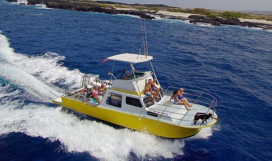 Kailua-Kona: Night Manta Snorkel or Dive - The 2-hour flow: how the night session typically plays out