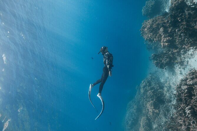Kaimana Kealakekua Bay Captain Cook Adventure - Meeting point and timing: how to set yourself up for a smooth start