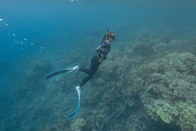 Kaimana Kealakekua Bay Captain Cook Adventure - Weather matters: a tour that depends on the ocean