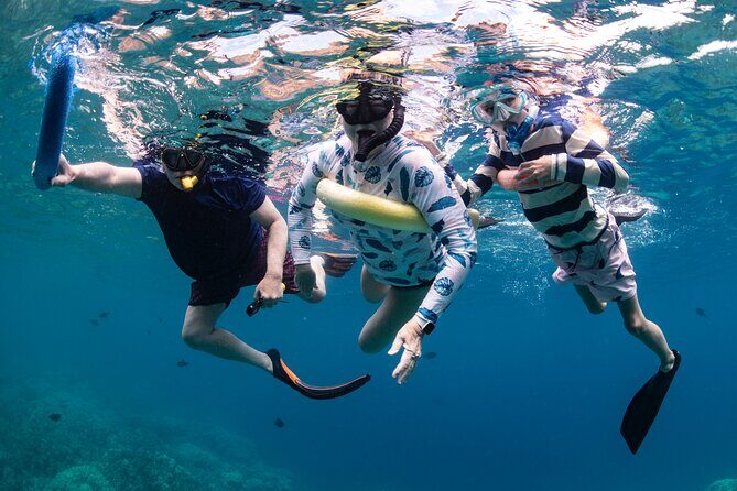 Kaimana Kealakekua Bay Captain Cook Adventure - Kealakekua Bay: what you can expect during the 2-hour stop