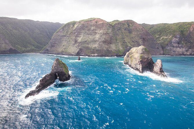 Kawaihae Whale Watch - What the Ride Feels Like: Spray, Rocking, and Weather Reality