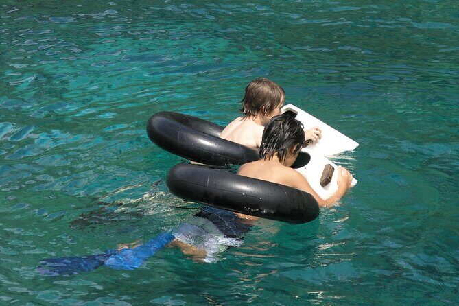 Kealakekua Bay Afternoon Snorkel: Family Fun on the Kona Coast - Marine life odds: what you might see in a good Kealakekua Bay day